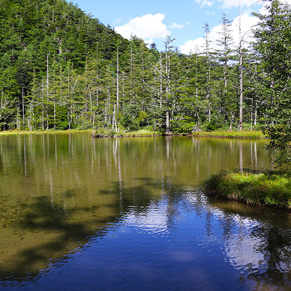 Out and About – On the Trail in Kamikochi